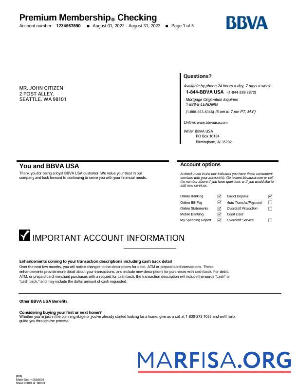 Blank USA BBVA bank statement word 5 pages example